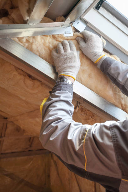 Best Insulation for Specific Applications in Sauk Centre, MN