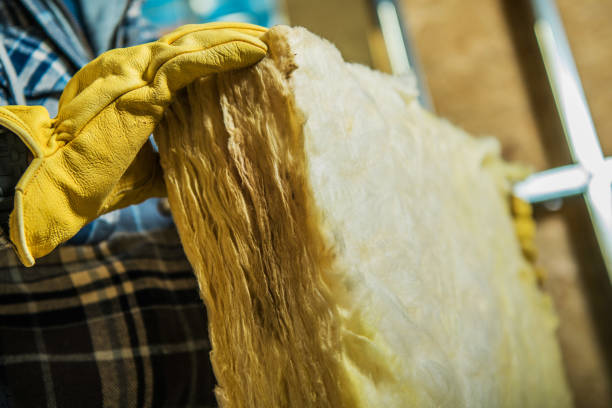 Best Specialty Insulation in Sauk Centre, MN