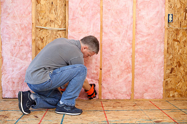 Best Insulation Maintenance and Repair in Sauk Centre, MN